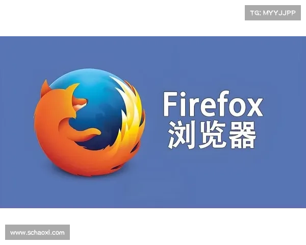 火狐浏览器最新功能大揭秘 高效提升你的上网体验